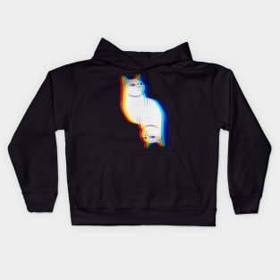 Dual Glitch Cat Video Kids Hoodie